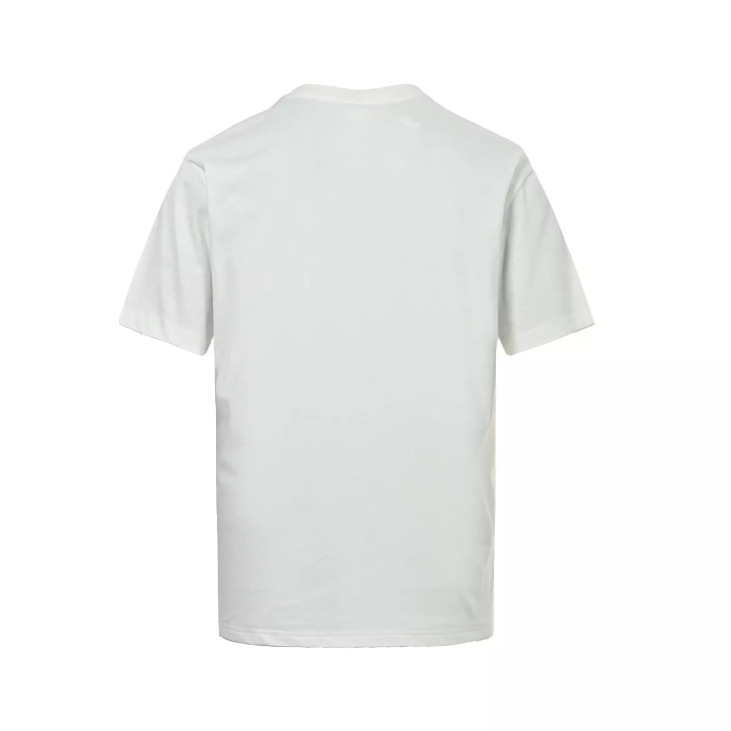 body_7f78e2ef405aaf20.webp