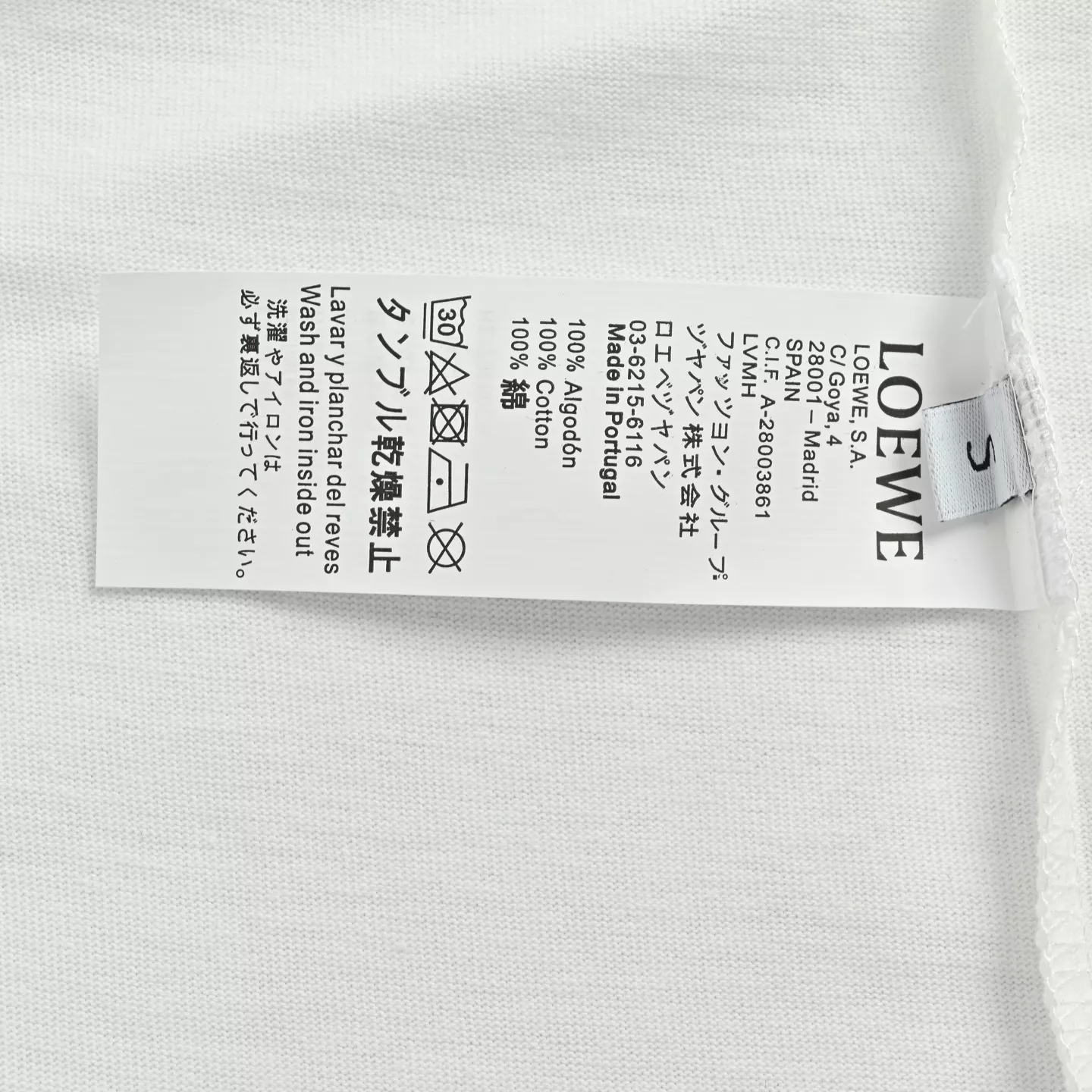 body_ae8d73b66559b67a.webp