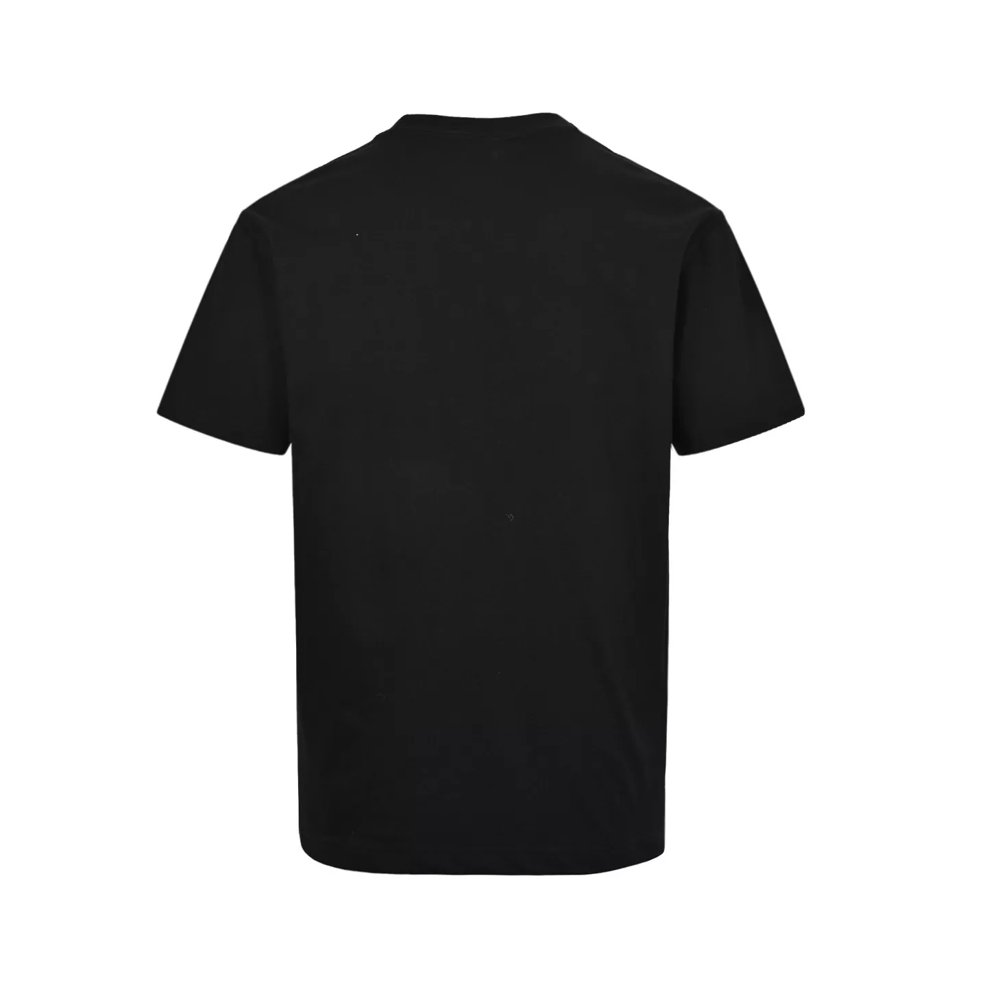 body_885fc19cd5eb8b81.webp