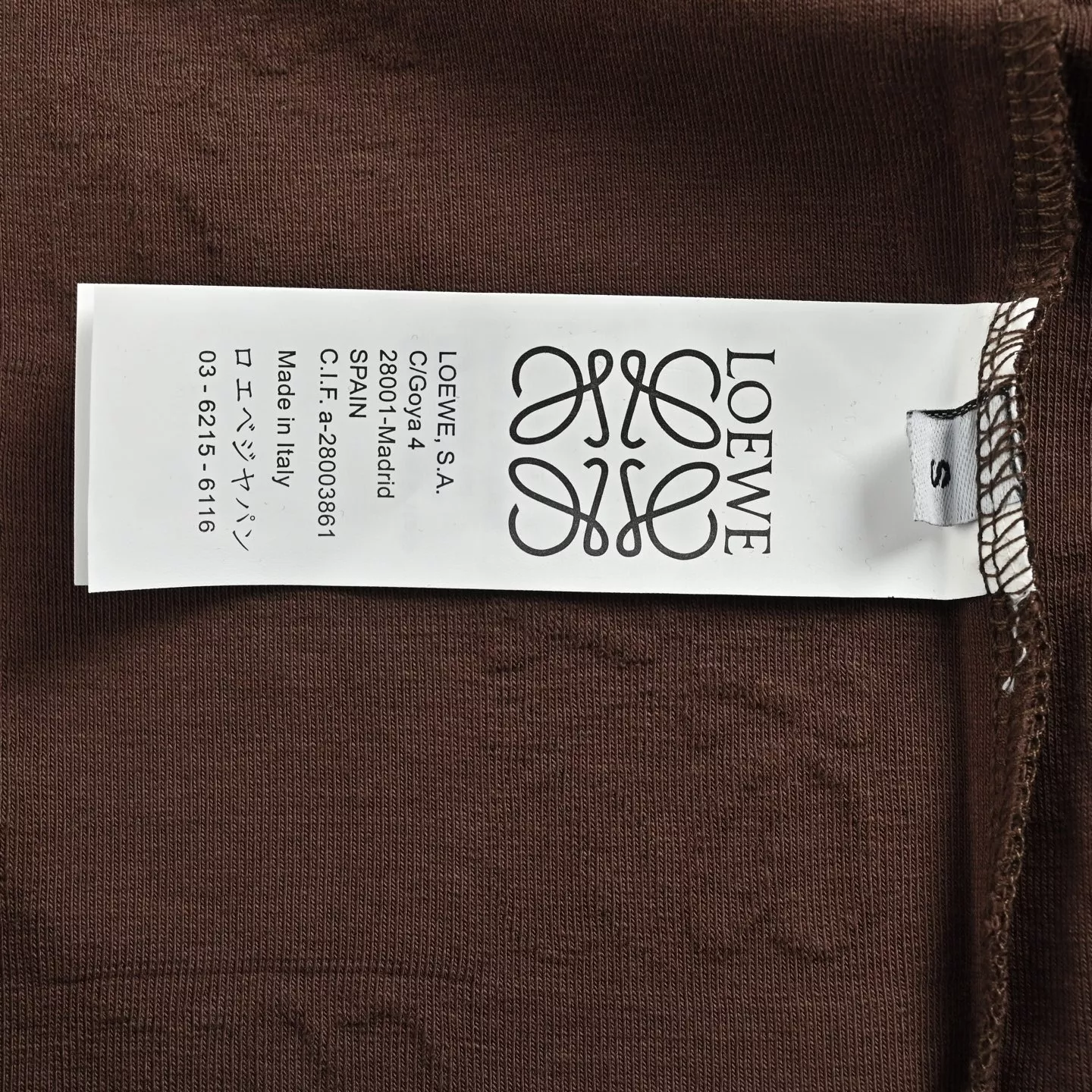 body_c656486fd03643a1.webp