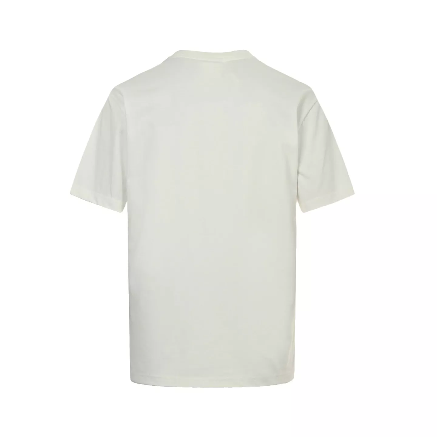 body_c8ec6fb856e9f713.webp