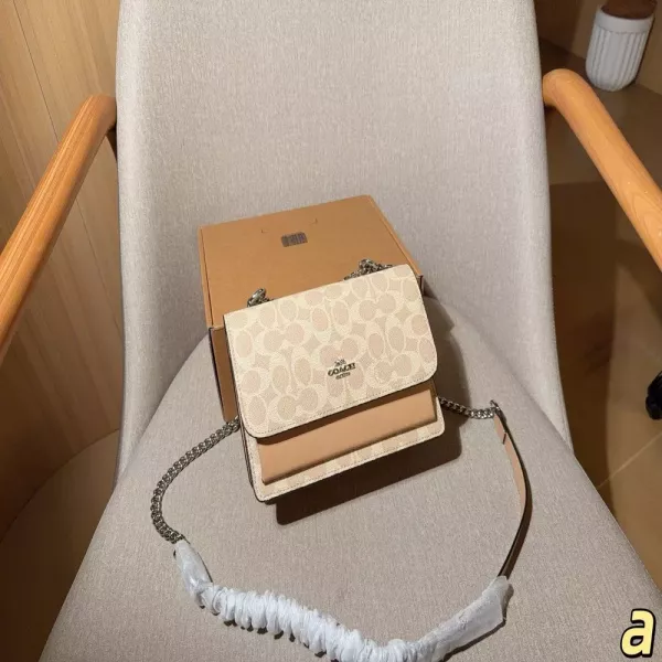 코치 플랩 체인 아코디언 백