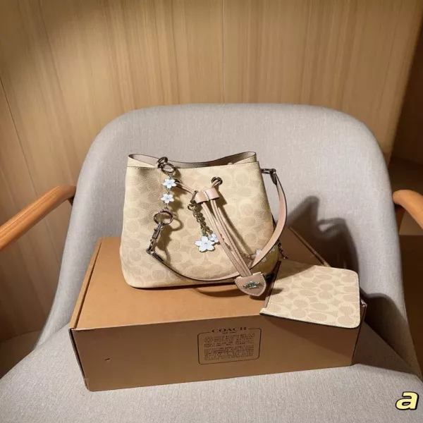 코치 로완 드로스트링 버킷백