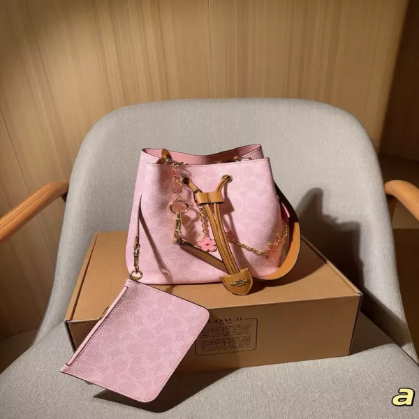 코치 로완 드로스트링 버킷백