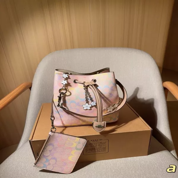 코치 로완 드로스트링 버킷백