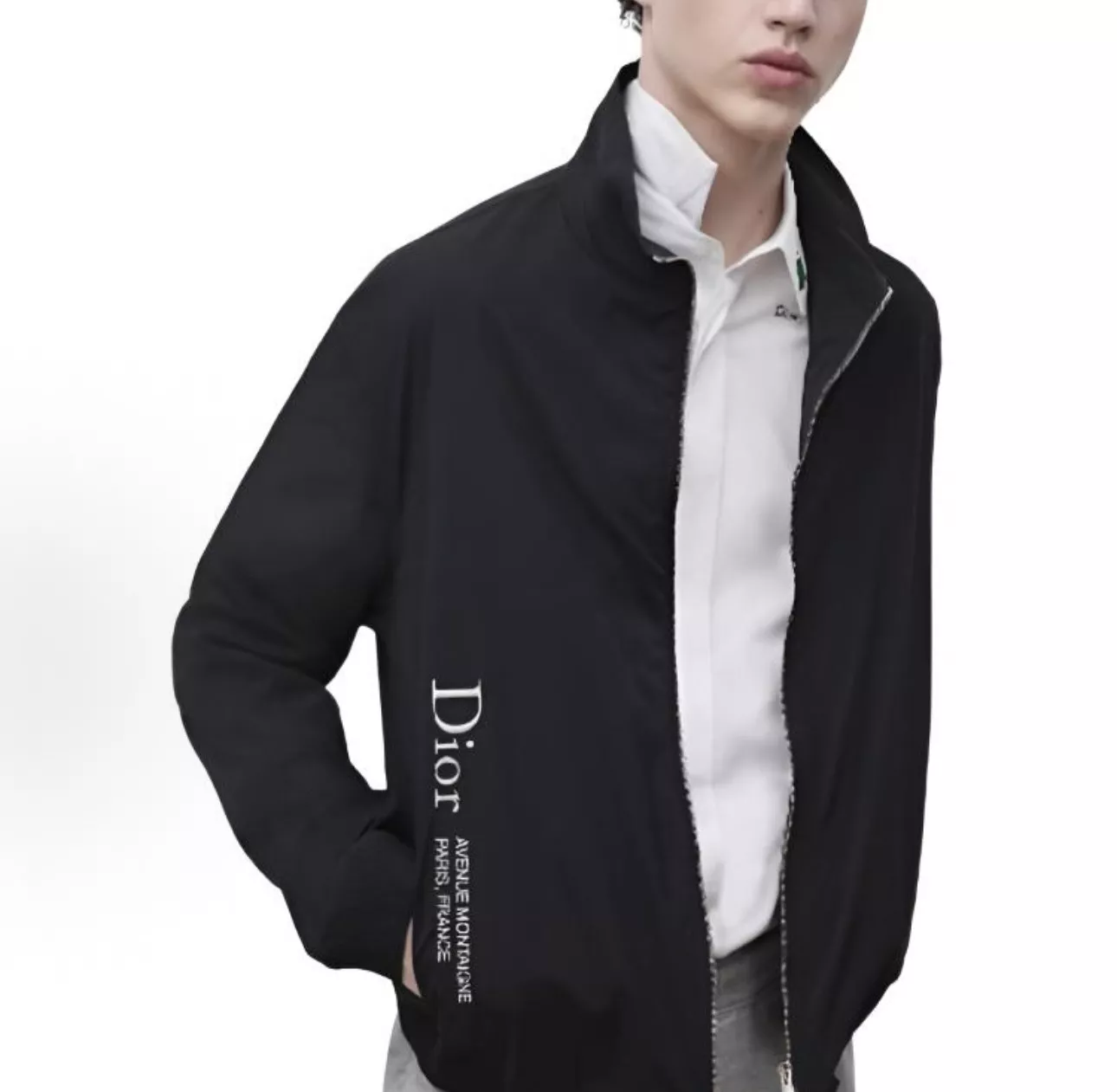 디올 몽테인 자수 집업 재킷 상세 이미지 12