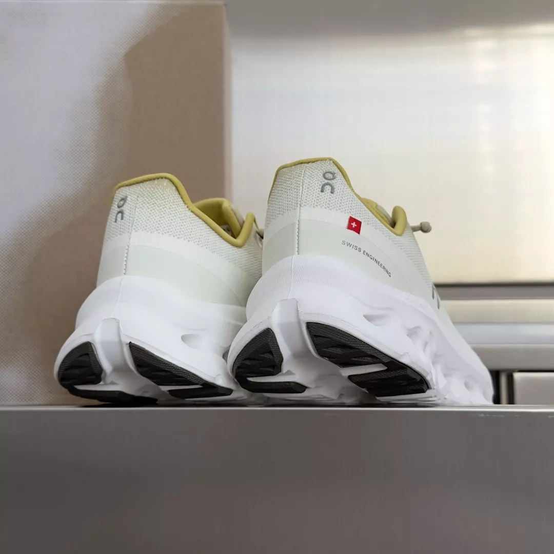 body_0231d85d7618ef55.webp
