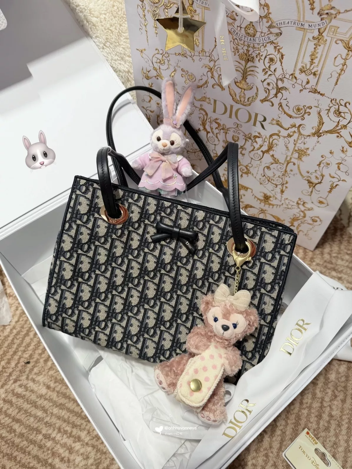 디올 보우 스몰 쇼핑백 상세 이미지 32