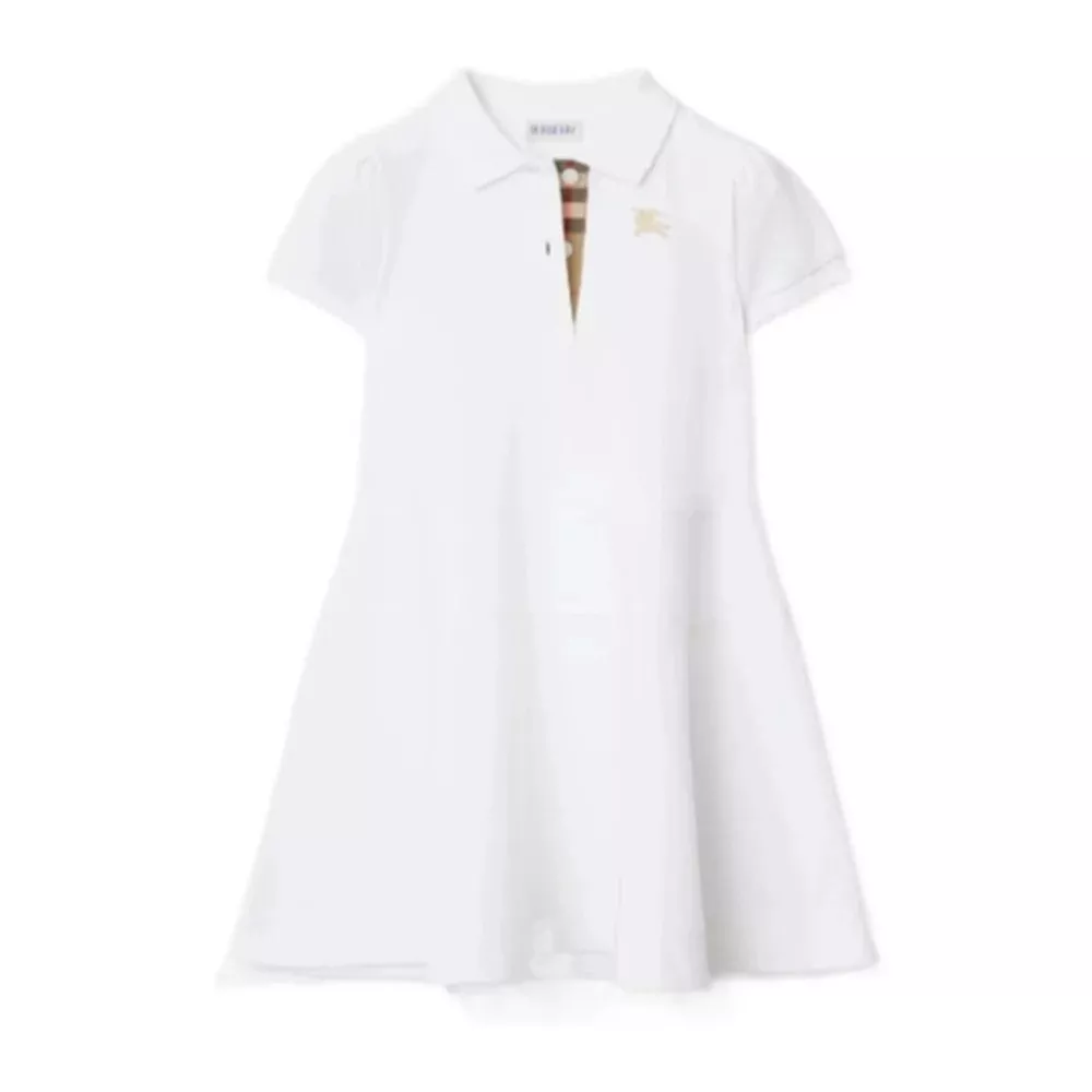 body_1f10cc9cf06337a0.webp