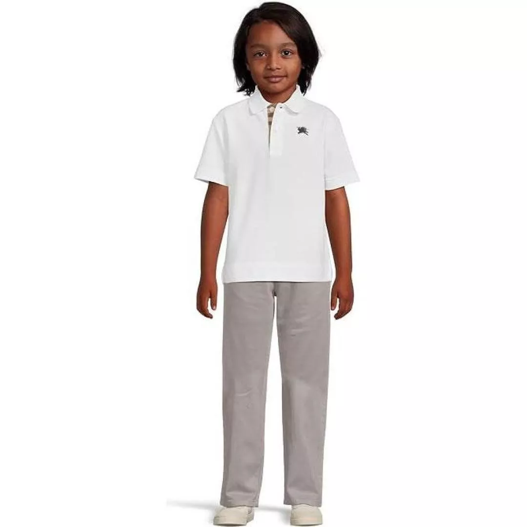body_046345ba0c144751.webp
