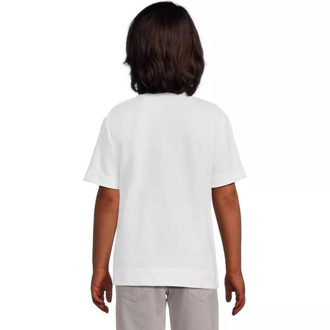 body_26a6a92a07ce8083.webp