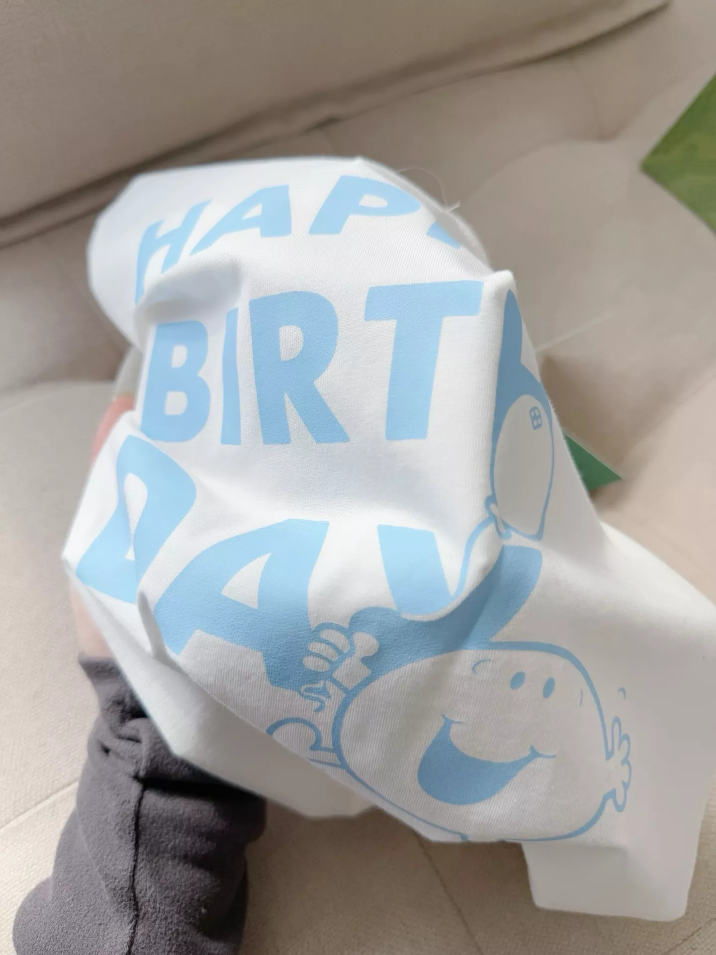 body_e9c968f29ae9fccd.webp
