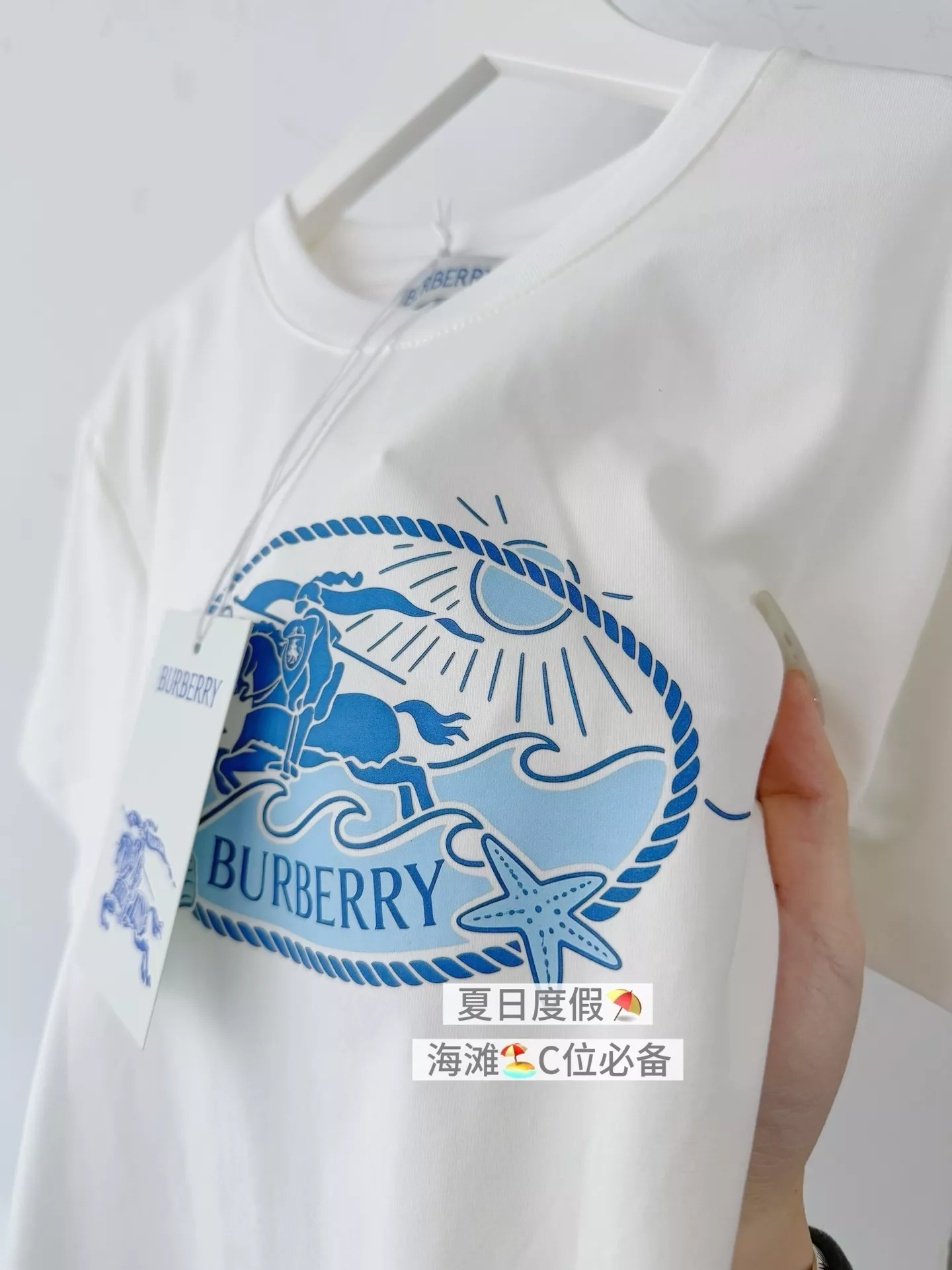 body_330ed850b8a969dd.webp