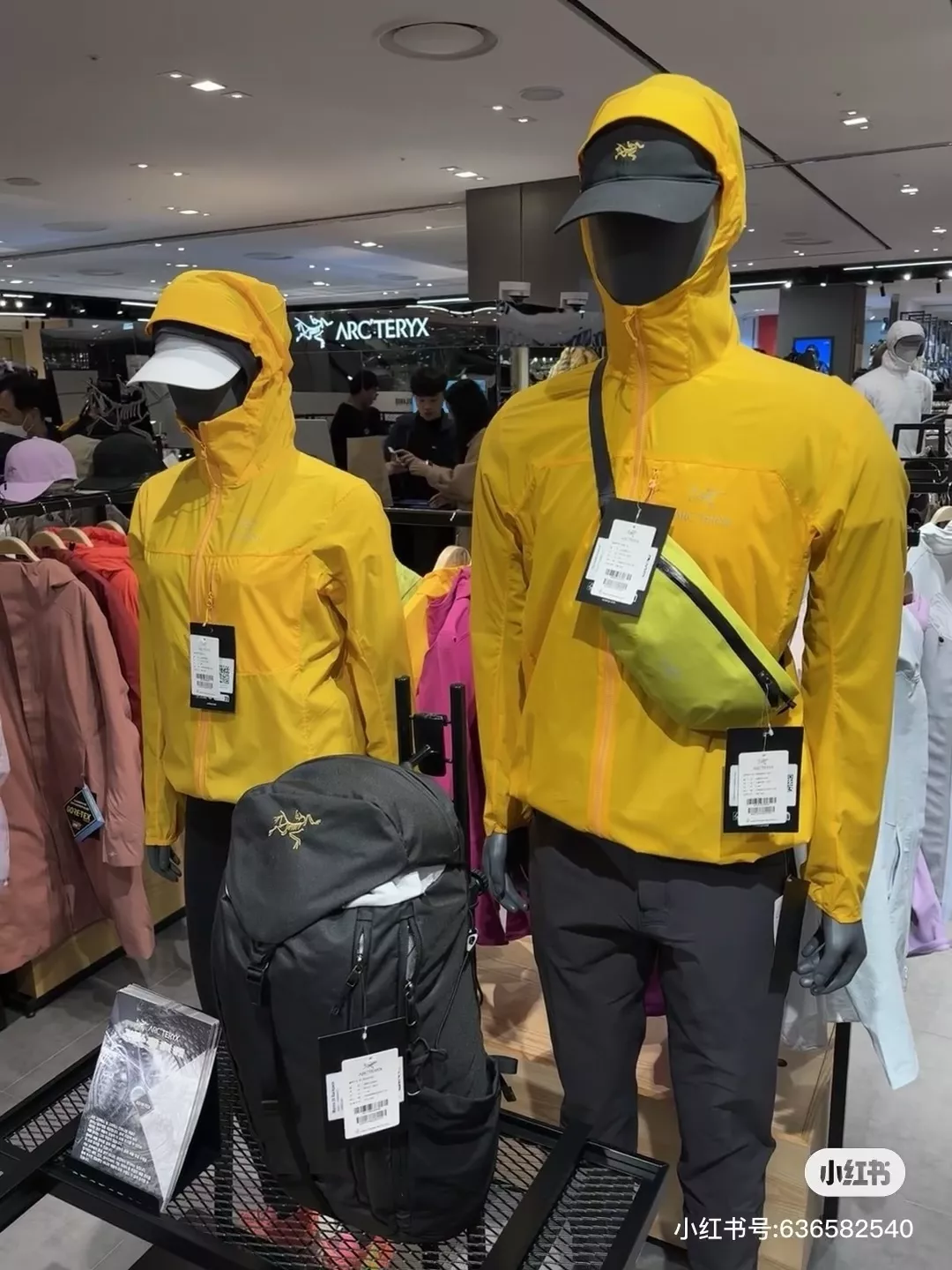 아크테릭스 경량 후드 바람막이 재킷 상세 이미지 9