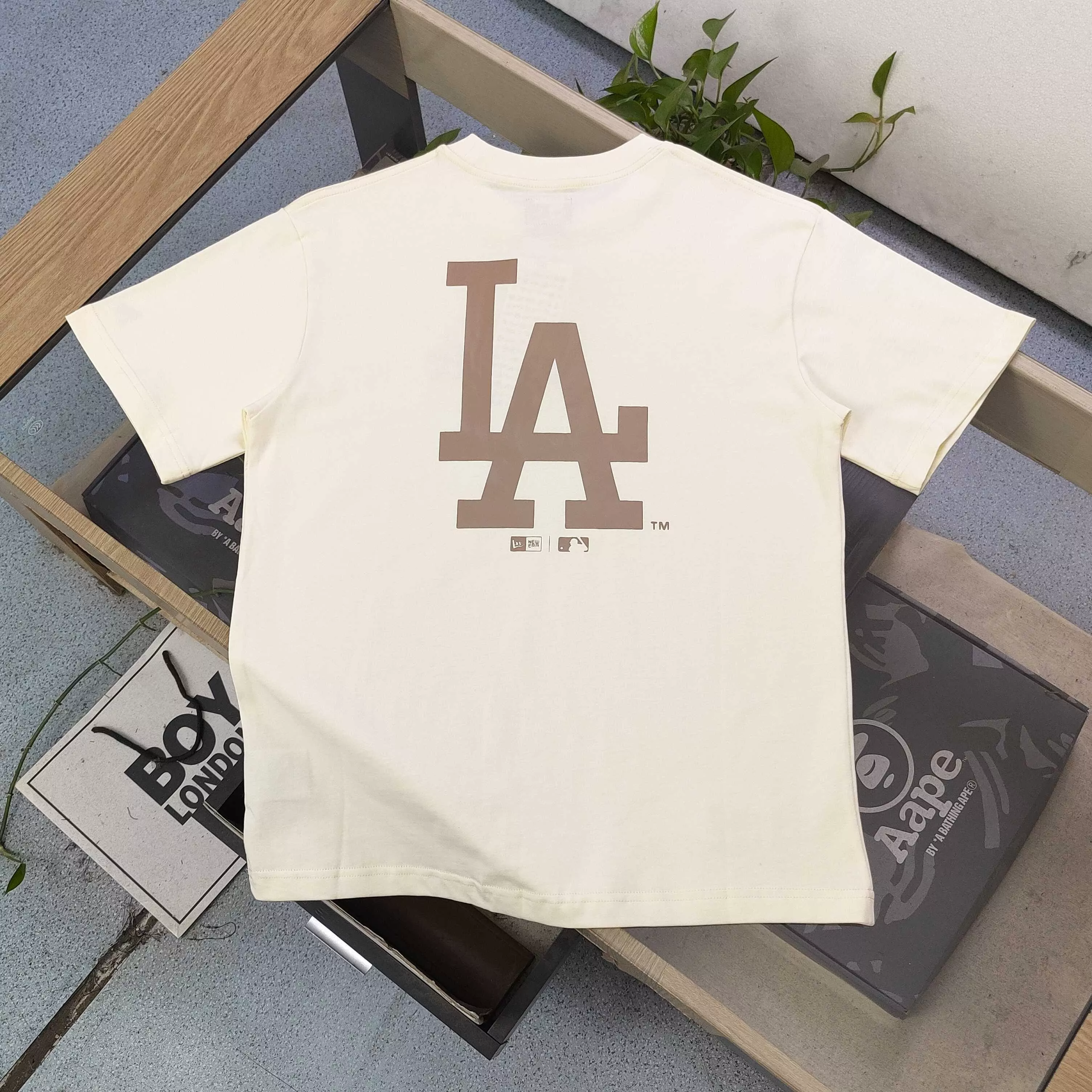 body_e258d1ef793615c5.webp