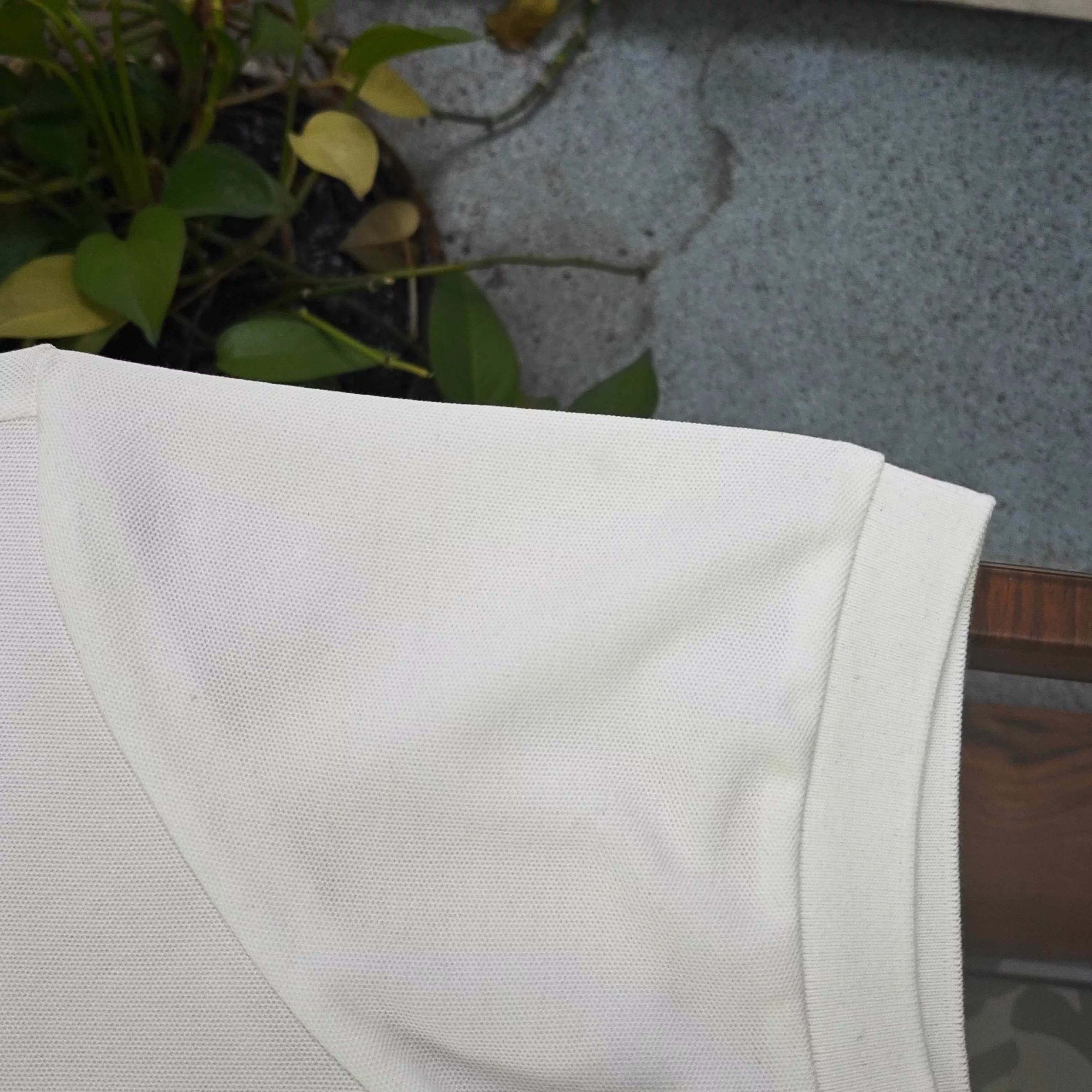 body_20d6b07c83f78ae7.webp