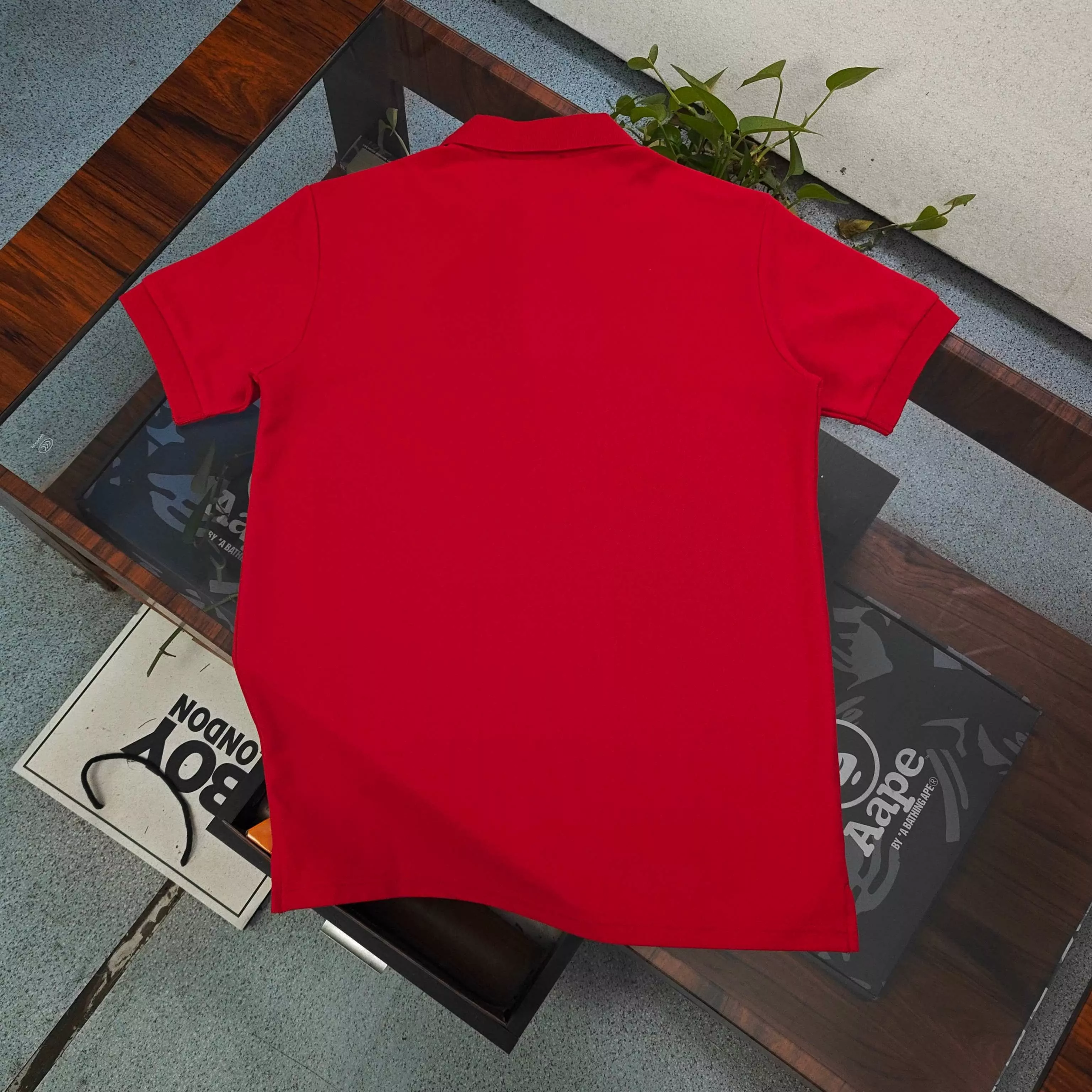 body_a03dac942e201e14.webp