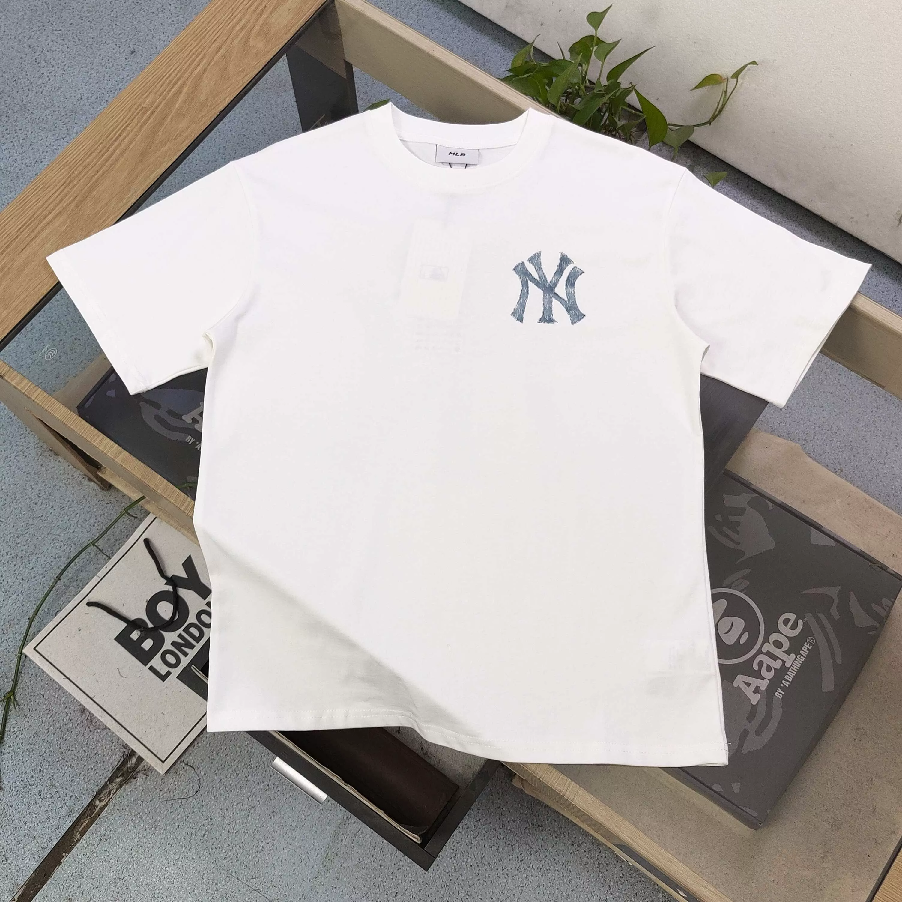 body_4f1ccd9117716606.webp