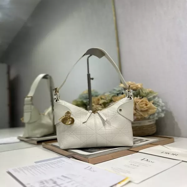 디올 보야주 핸드백