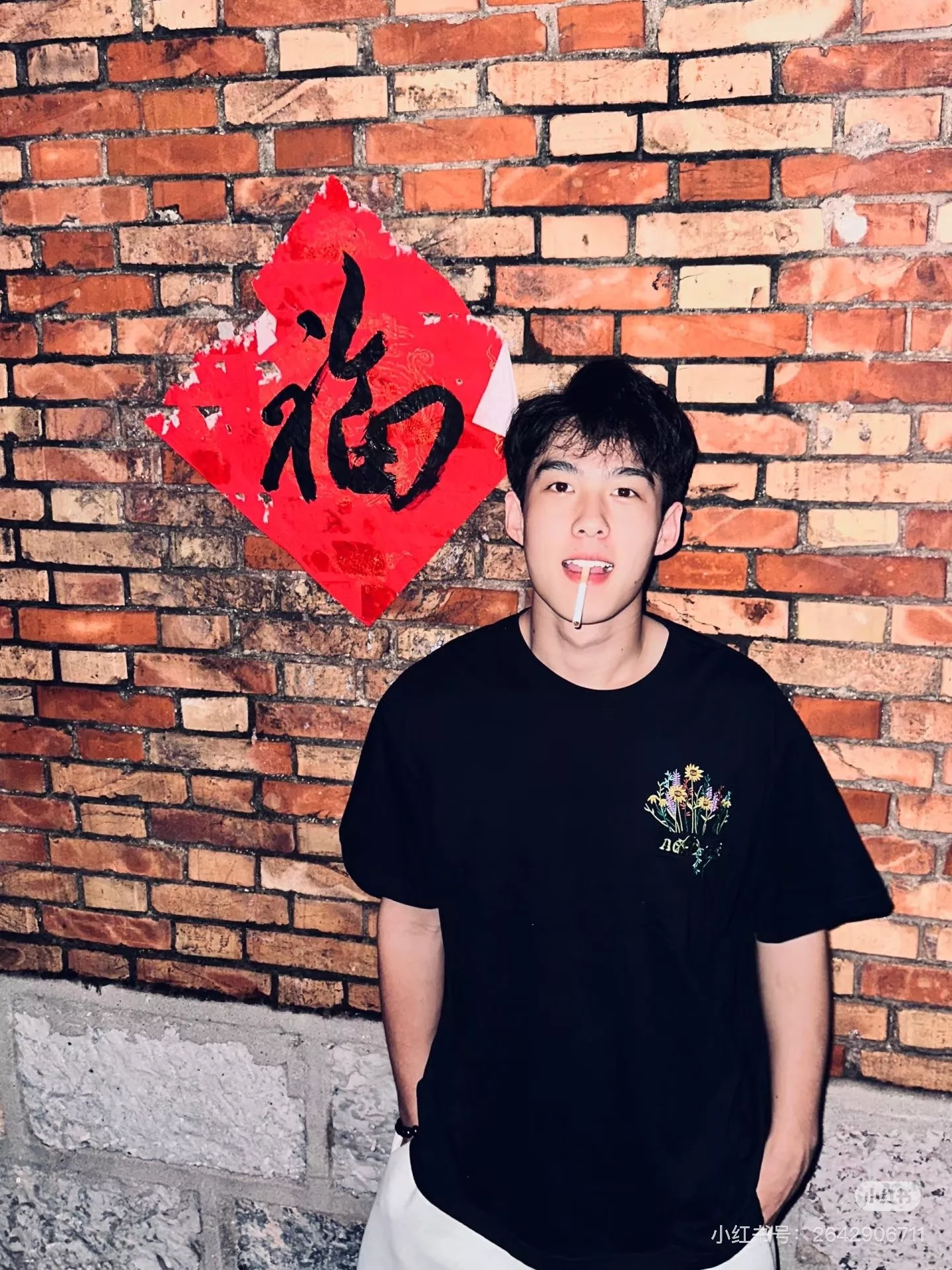 디올 시크릿 가든 그래픽 코튼 티셔츠 상세 이미지 14