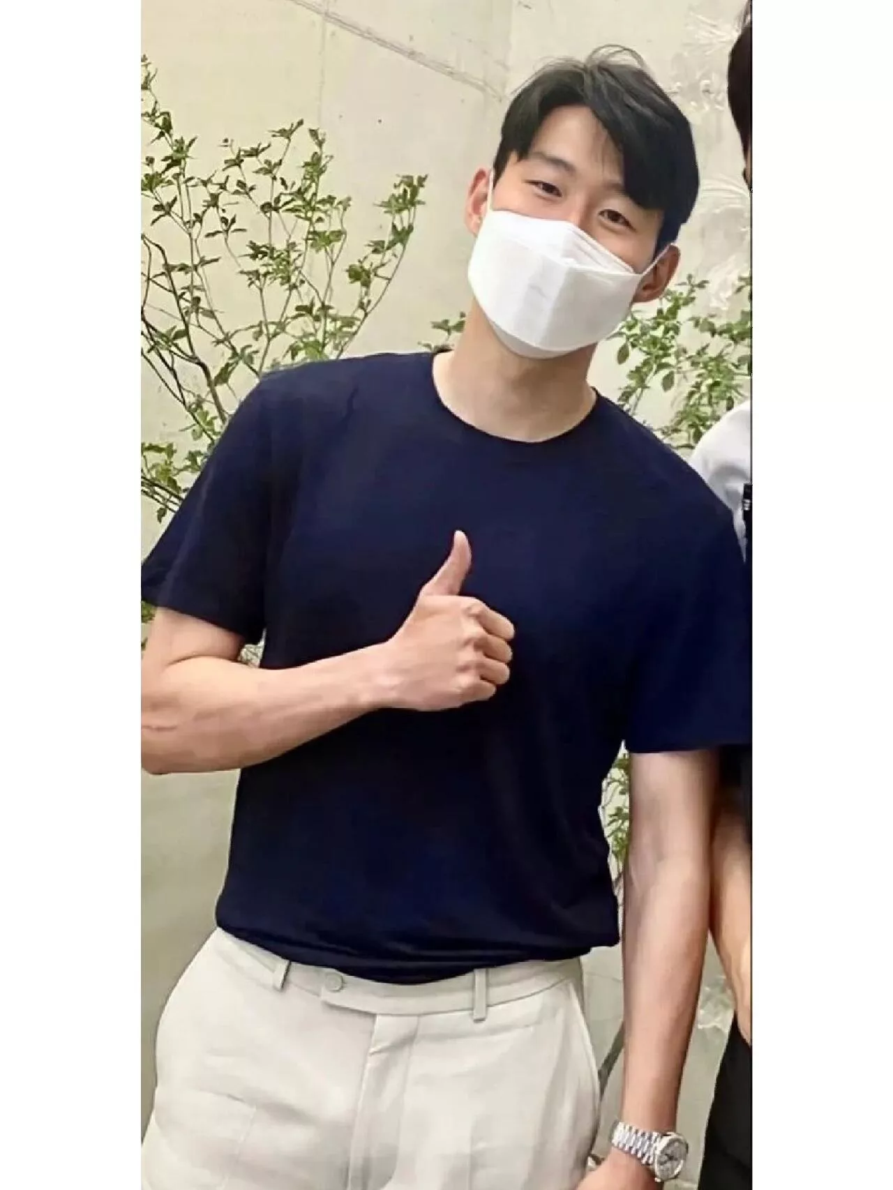 로로피아나 마조르보 남성 티셔츠 상세 이미지 12