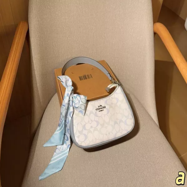 코치 클래식 테리 호보 스타일 백
