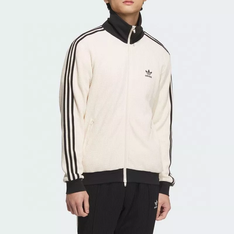 body_0179b8705afb9f3d.webp