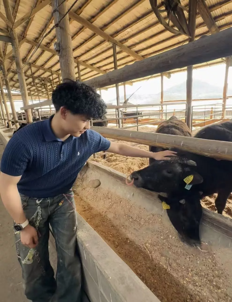 랄프로렌 케이블 짜임 폴로 니트 상의 상세 이미지 54