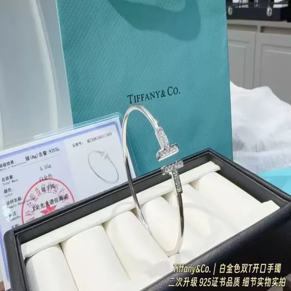 티파니앤코 더블 티 실버 뱅글