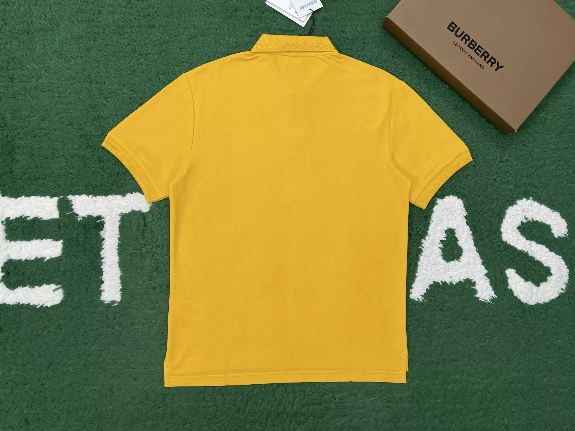 body_409a305d8017b9c4.webp
