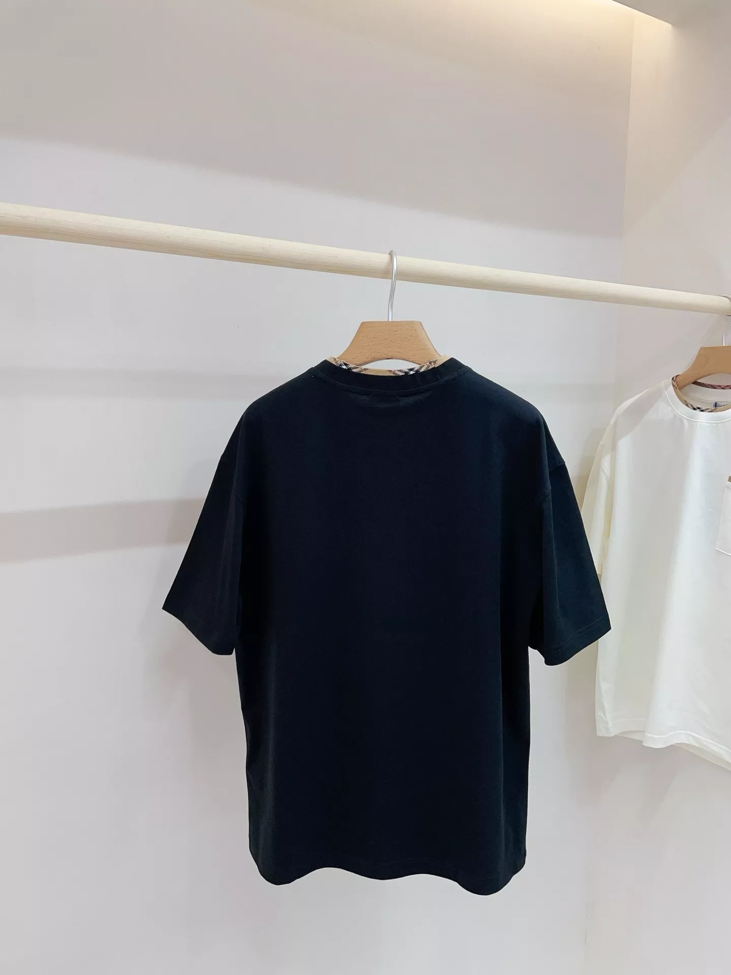 body_6c66f9ca06998c30.webp