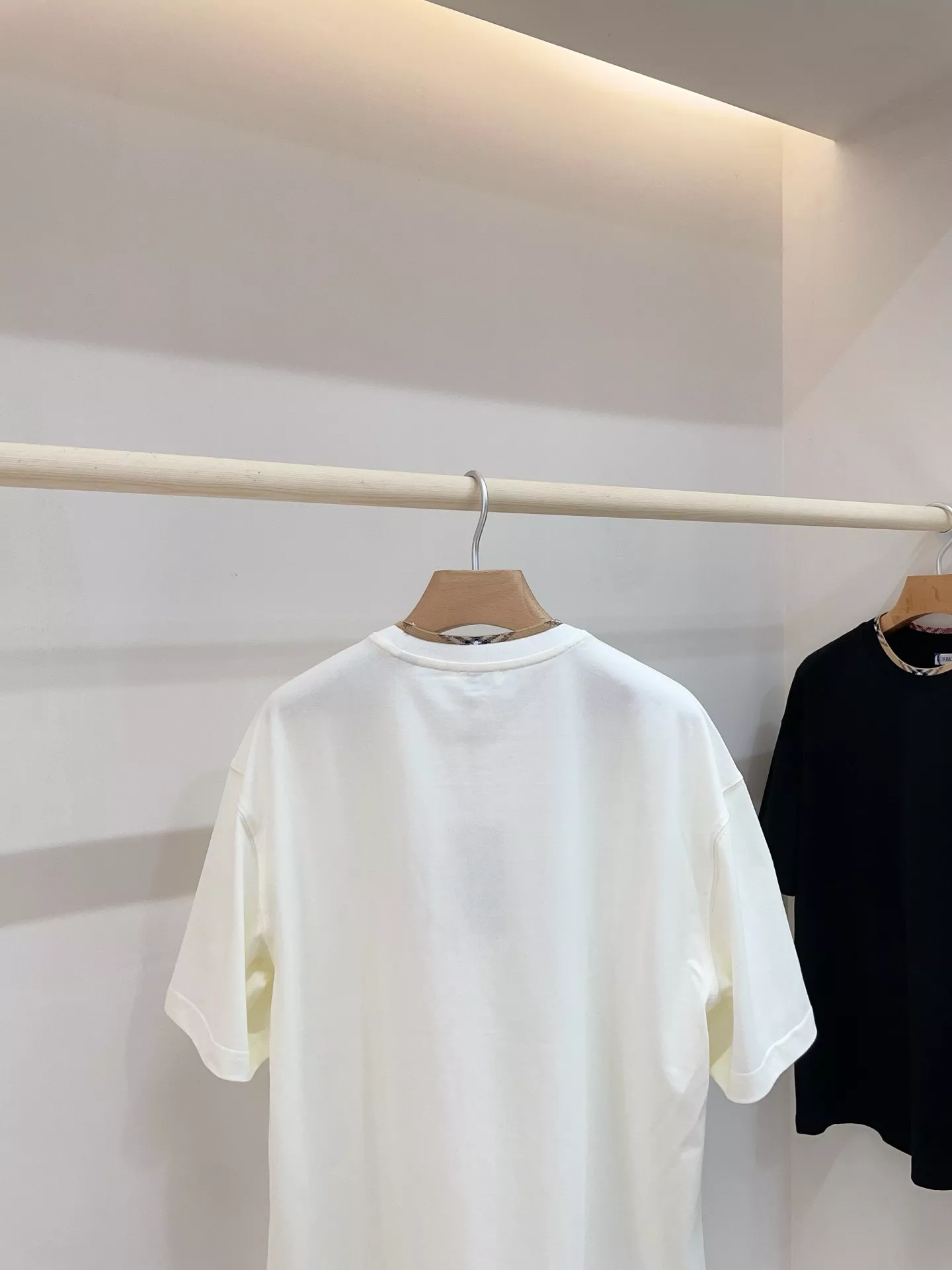 body_f7c17c8ab323432e.webp