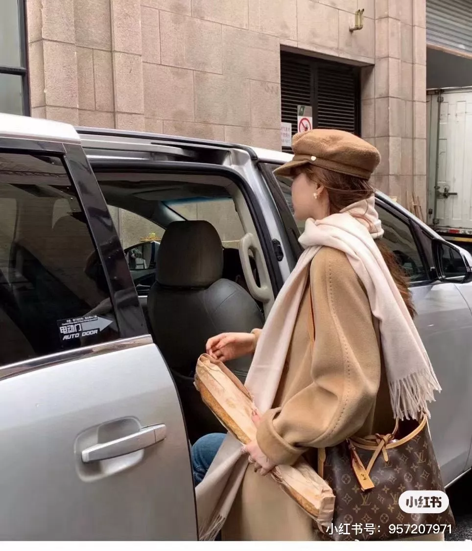 루이비통 캐리올 스타일 데일리 백 상세 이미지 20