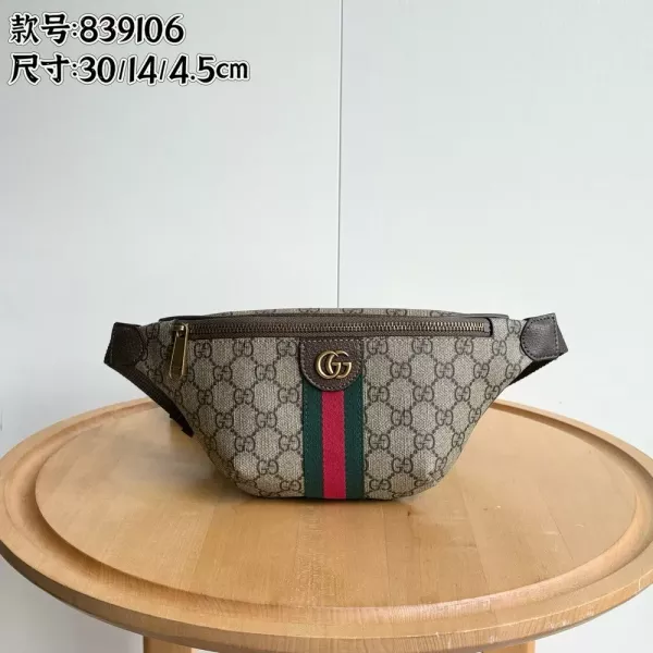 구찌 GG 패턴 벨트 스타일 백