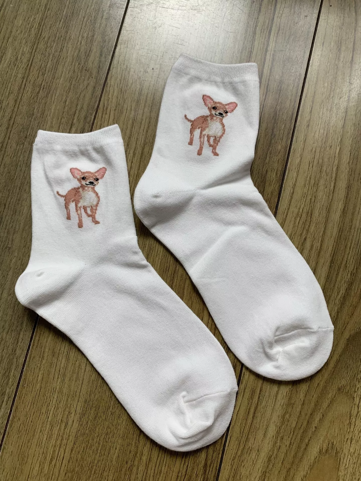 노브랜드 귀여운 강아지 포인트 중목 코튼 삭스 상세 이미지 6