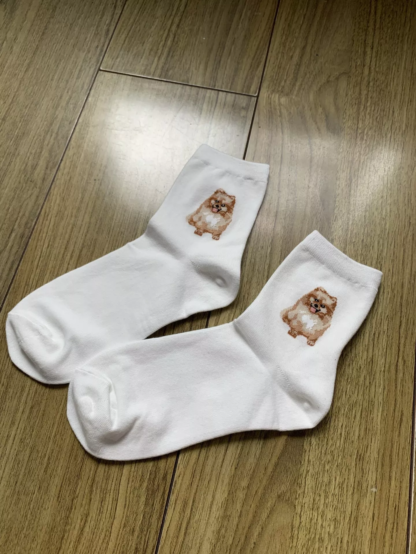 노브랜드 귀여운 강아지 포인트 중목 코튼 삭스 상세 이미지 8