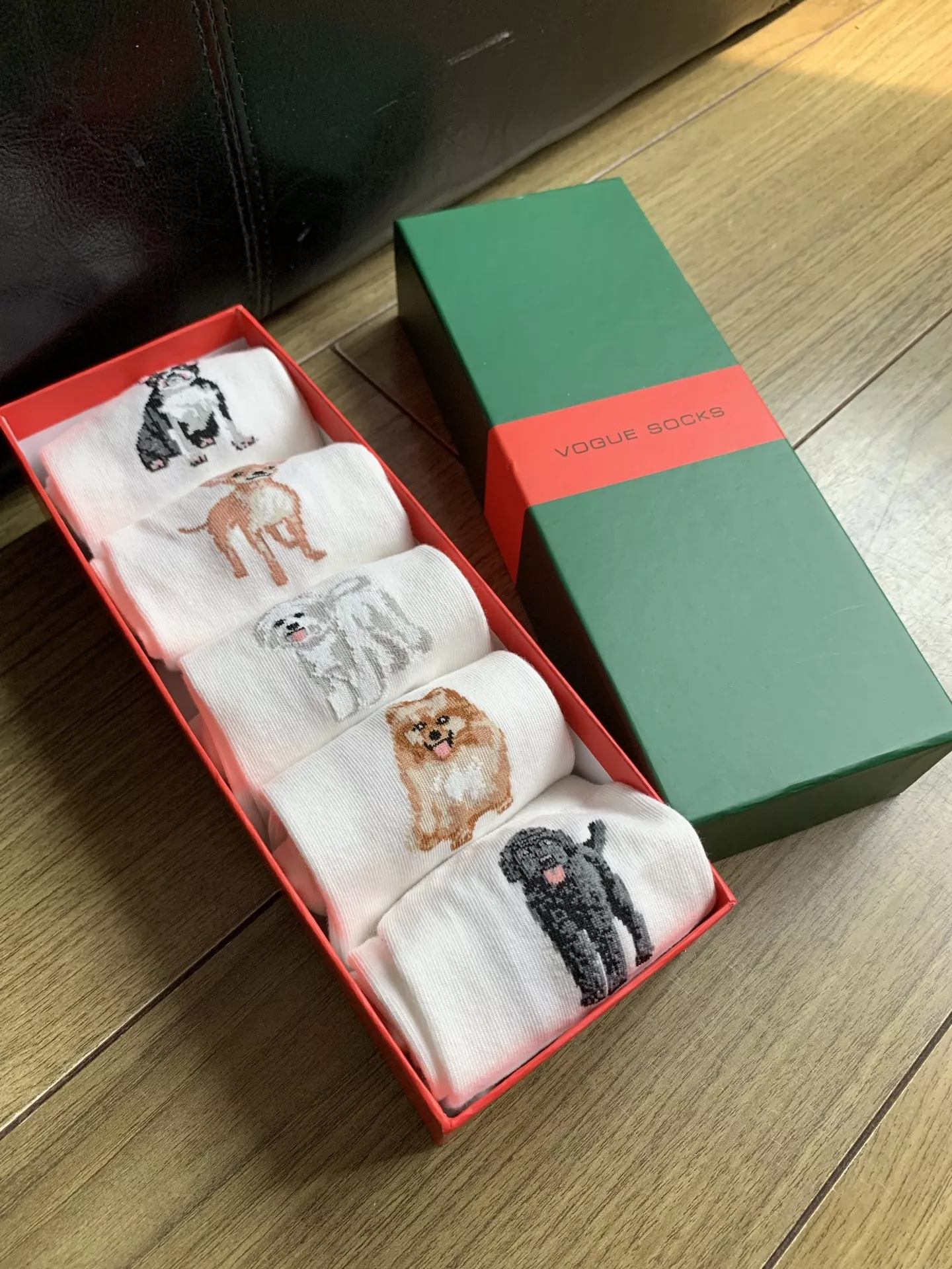 노브랜드 귀여운 강아지 포인트 중목 코튼 삭스 상세 이미지 2