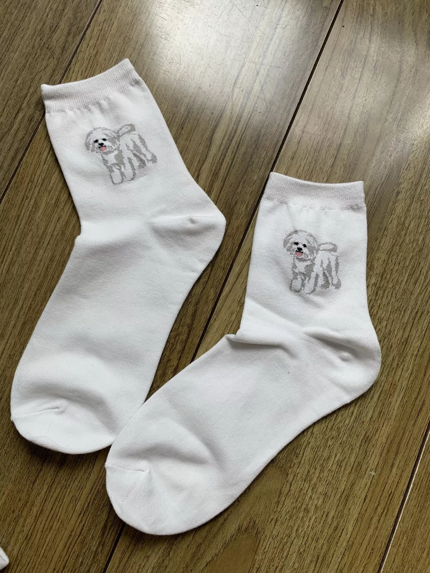 노브랜드 귀여운 강아지 포인트 중목 코튼 삭스 상세 이미지 9