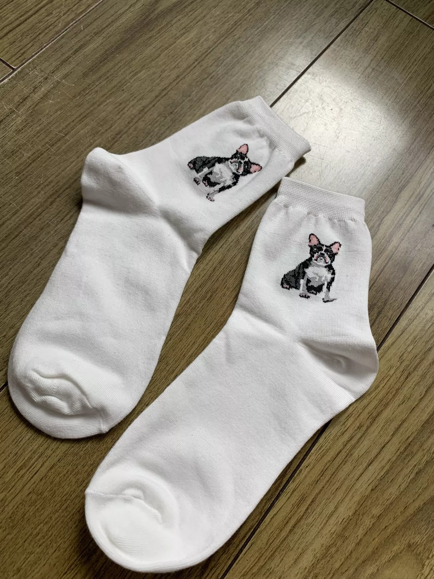 노브랜드 귀여운 강아지 포인트 중목 코튼 삭스 상세 이미지 5