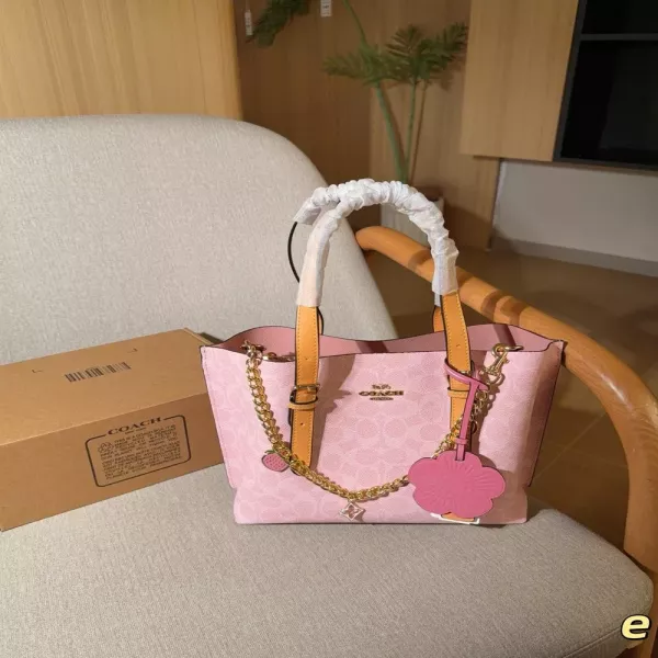 코치 클래식 몰리 쇼핑백