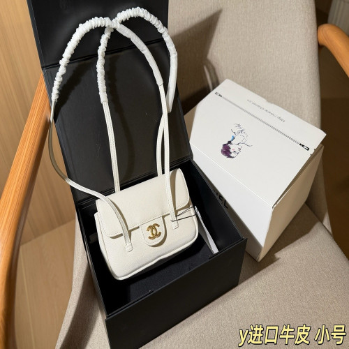 샤넬 제니 플랩 프레피 코코 언더암 백