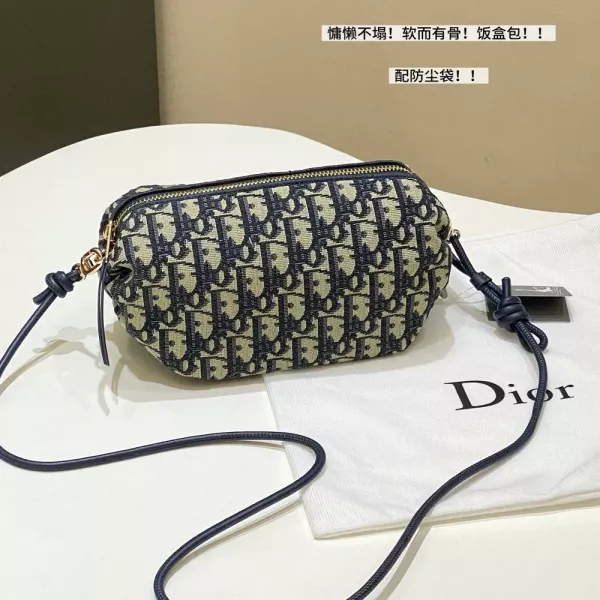 디올 오블리크 패턴 보우 핸드백