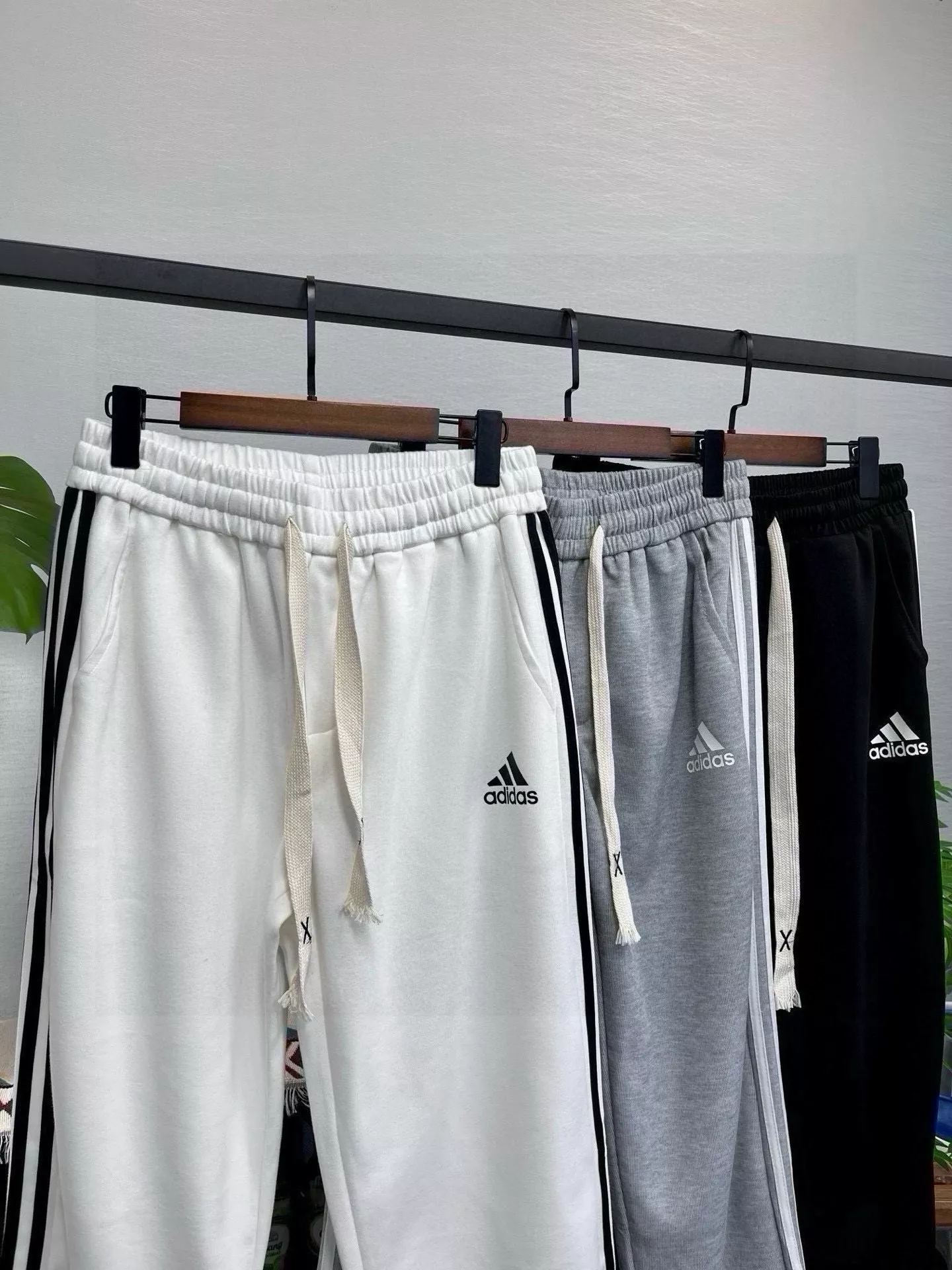 body_2514ac3c06107cfb.webp