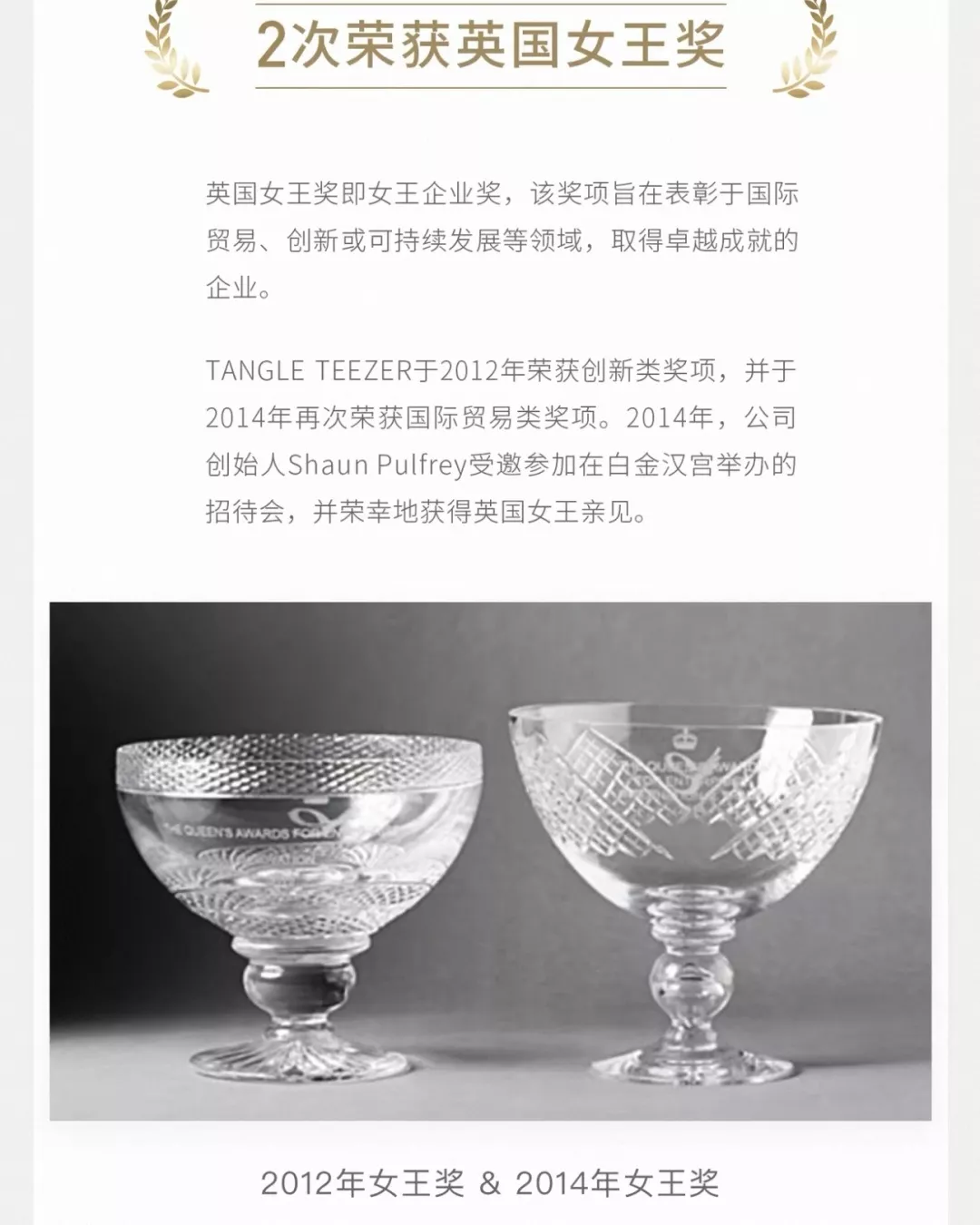 탱글티저 쿠션형 엉킴 완화 헤어 브러시 상세 이미지 4