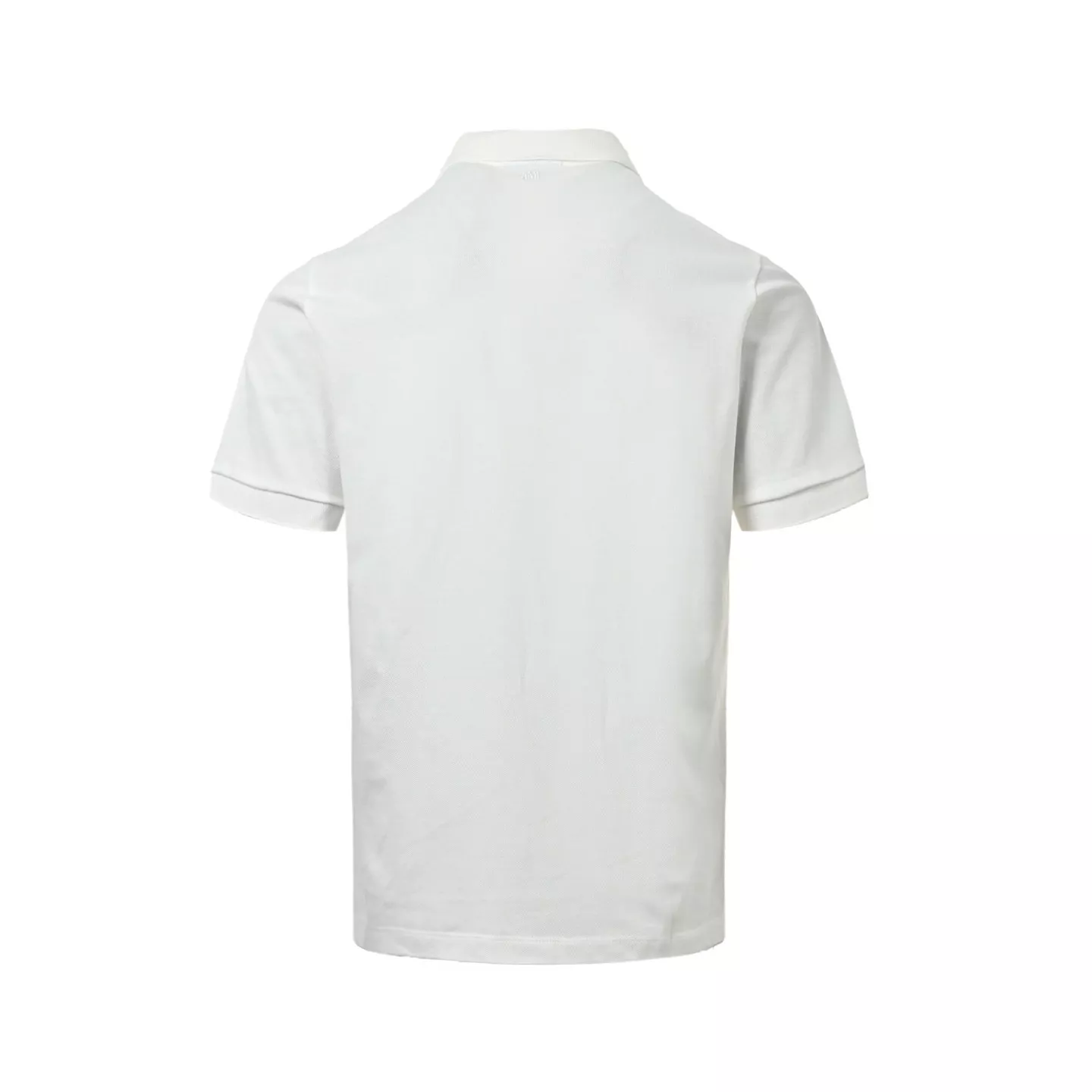 body_d2668c7ac24a751d.webp