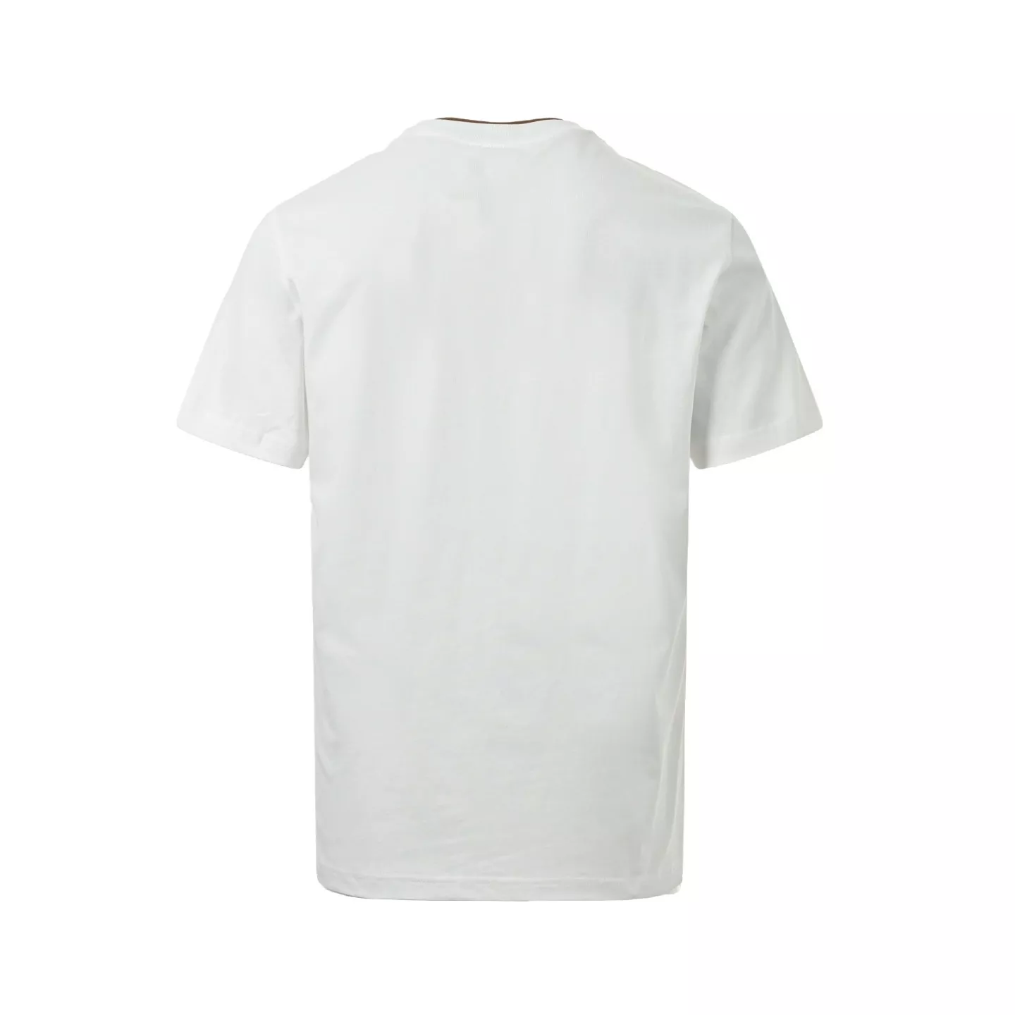 body_159b5d4f67618390.webp