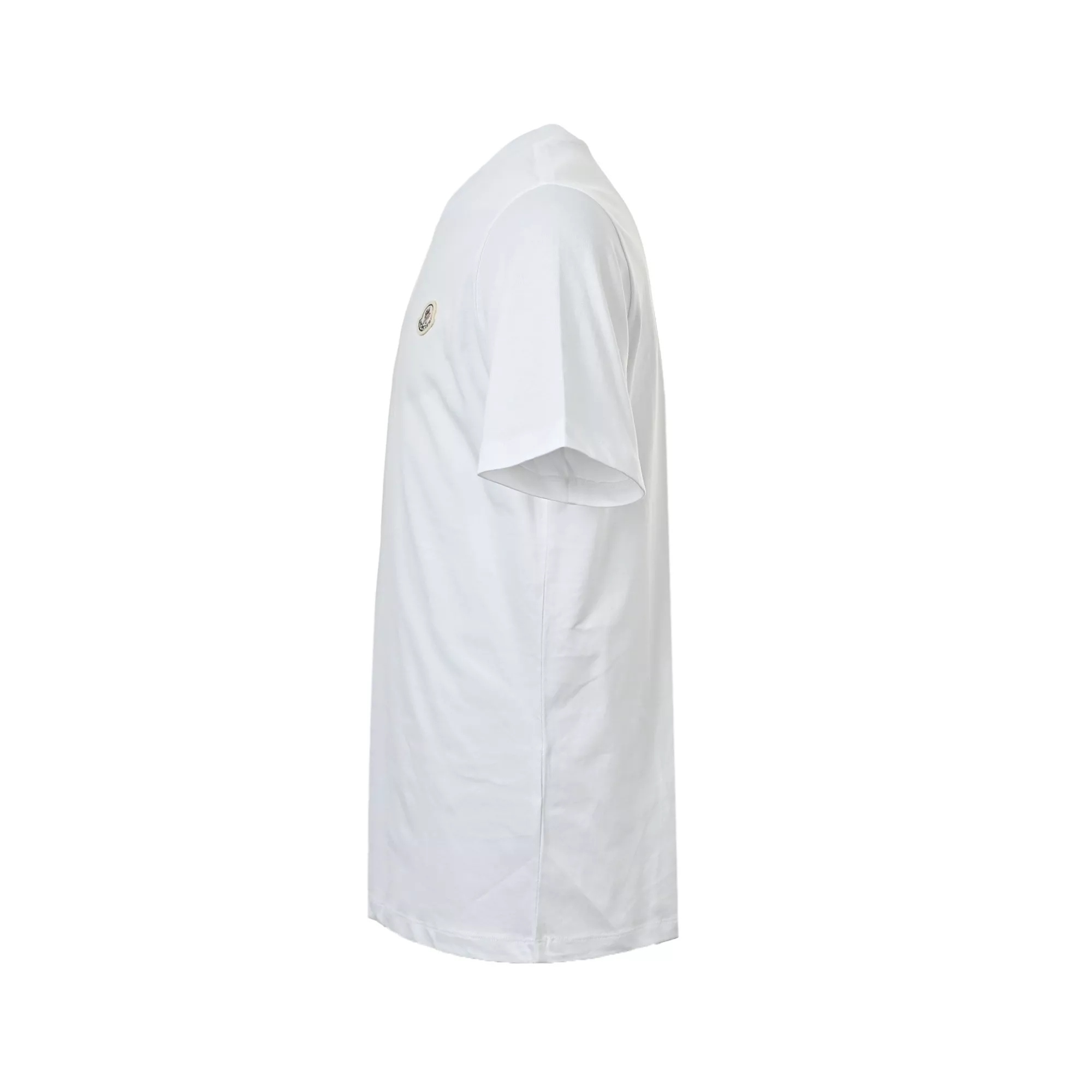 body_2cd506d7365e5d87.webp