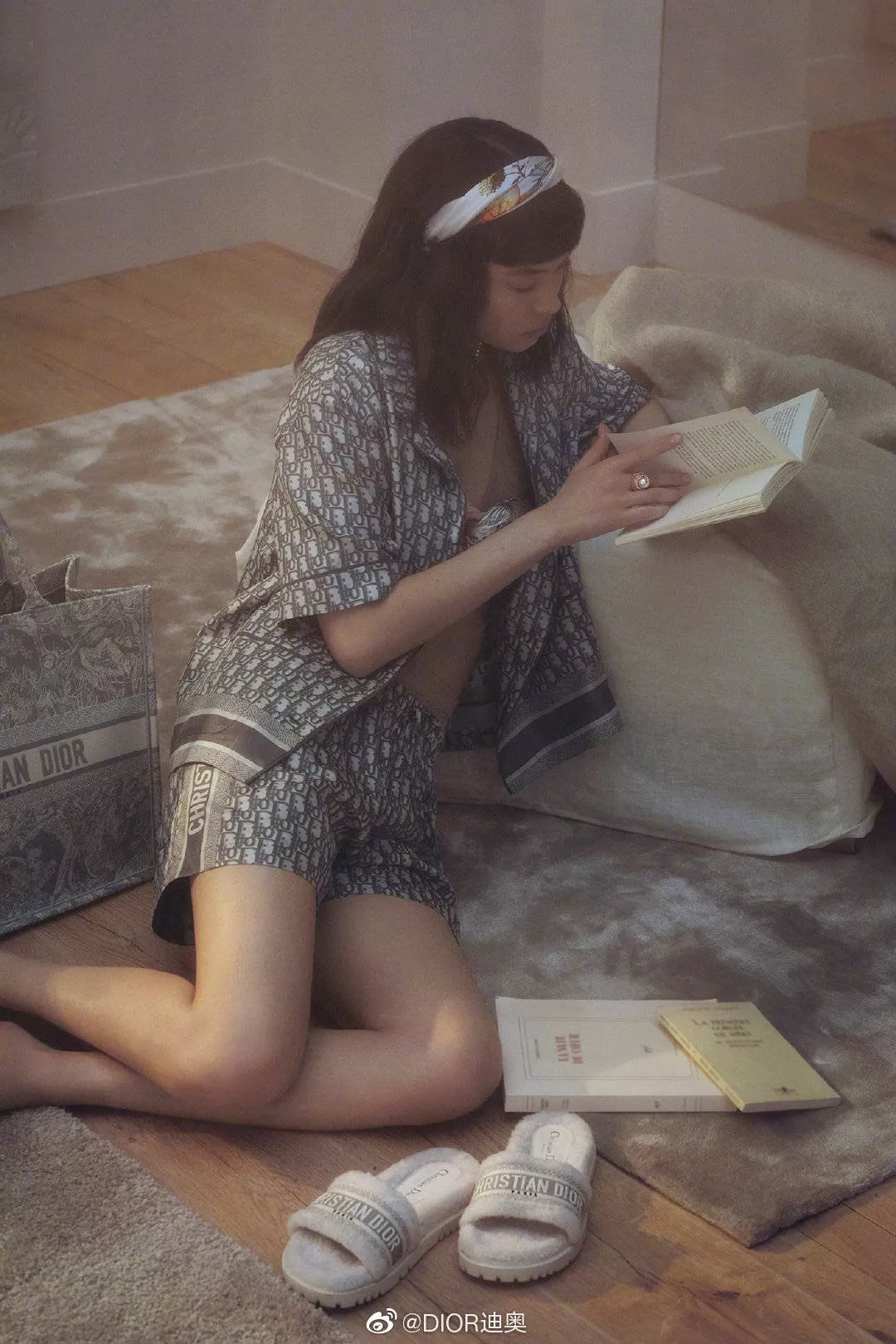 디올 그레이 타이거 자수 북 스타일 백 상세 이미지 44
