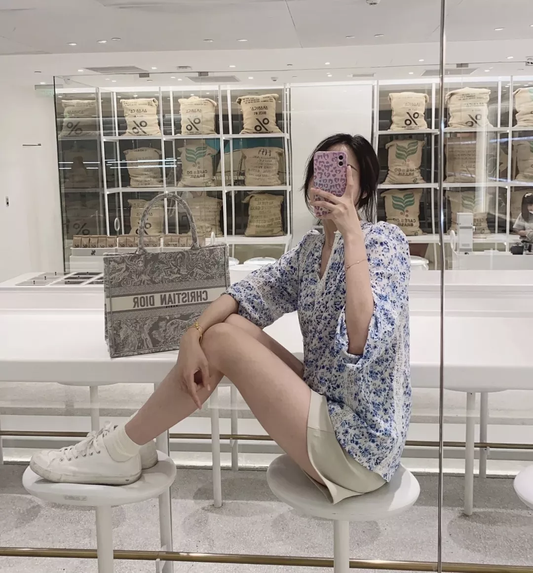 디올 그레이 타이거 자수 북 스타일 백 상세 이미지 46