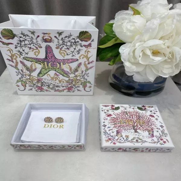 디올 컬러 스톤 원형 CD 이어링